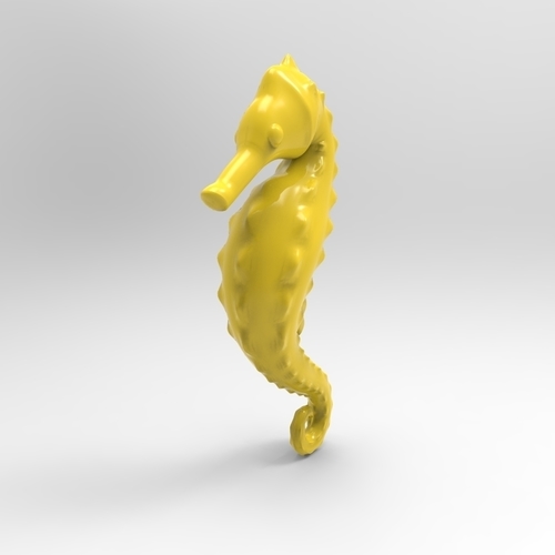 cavalluccio marino 3D Print 314211