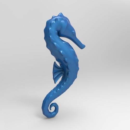 cavalluccio marino 3D Print 314212