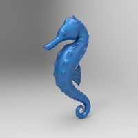 Small cavalluccio marino 3D Printing 314214