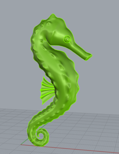 cavalluccio marino 3D Print 314215