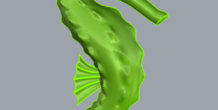 Image 314215