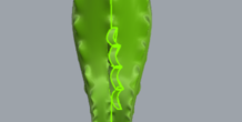 Image 314216