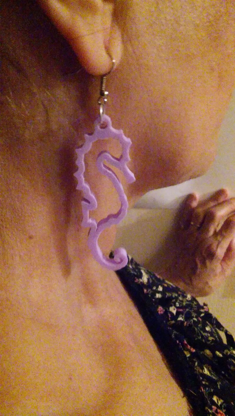Seahorses Earrings
