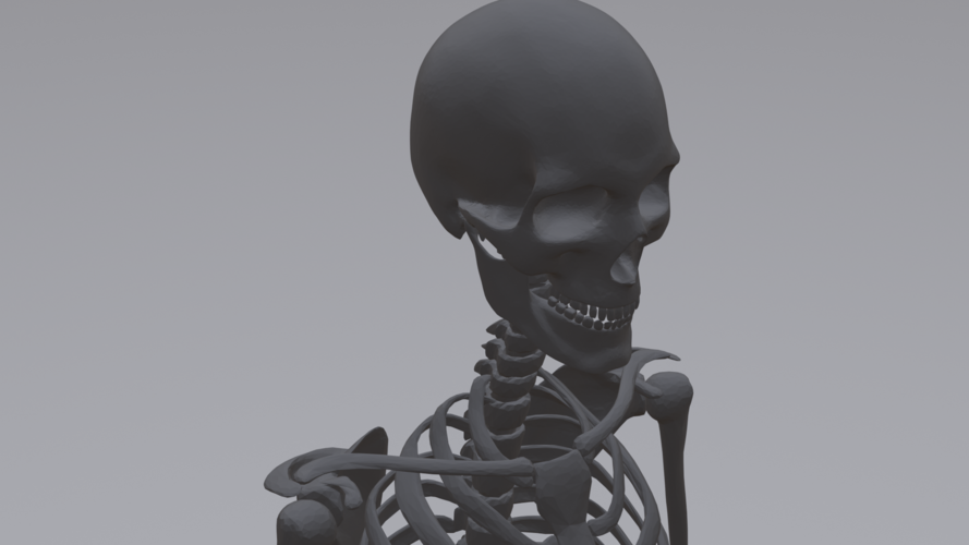Human Skeleton 3D Print 315783