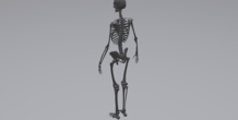 Image 315787