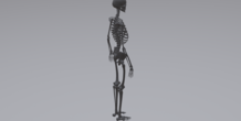 Image 315788