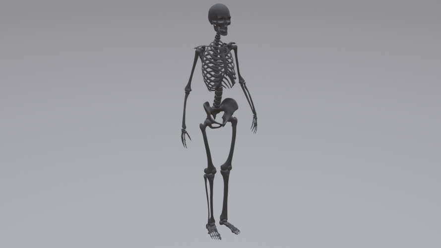 Human Skeleton 3D Print 315789