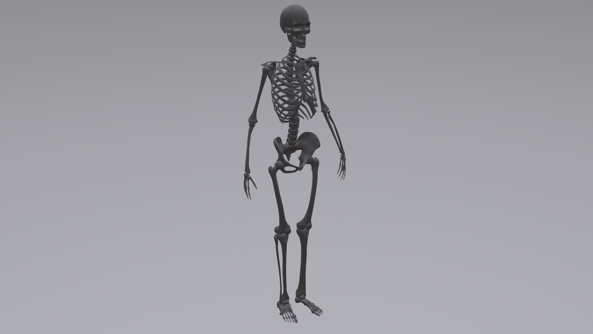 Skeleton cute : 67 334 images, photos de stock, objets 3D et images  vectorielles