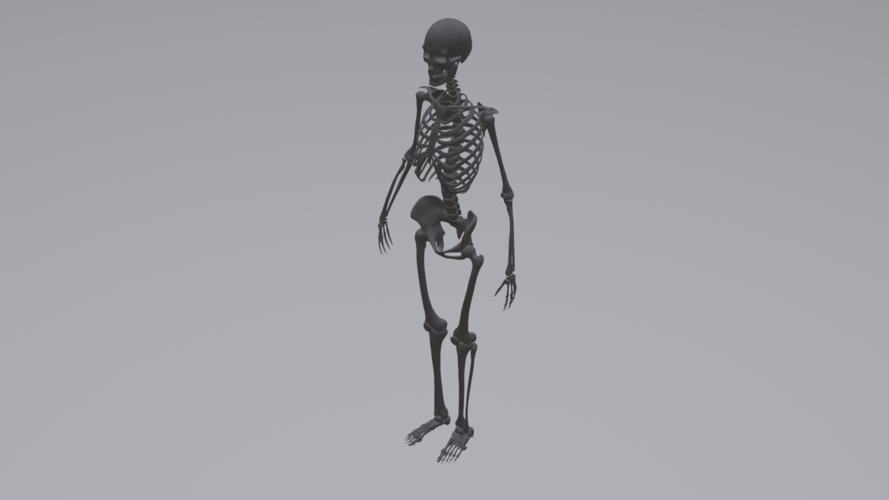 Human Skeleton 3D Print 315790