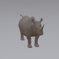 Rhino - Thumbnail 2