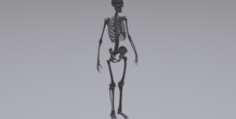 Image 315809