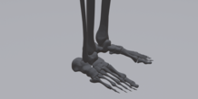 Image 315811
