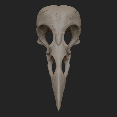 Raven Skull 3D Printing 3D print model