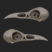 Raven Skull 3D Printing 3D print model - Thumbnail 2