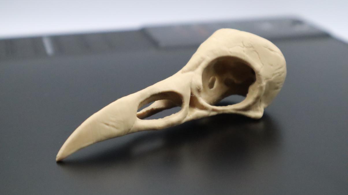 3D Raven Skull Silicone Mold, Bird Skeleton Head Mold, Crow Skull Mo, MiniatureSweet, Kawaii Resin Crafts, Decoden Cabochons Supplies
