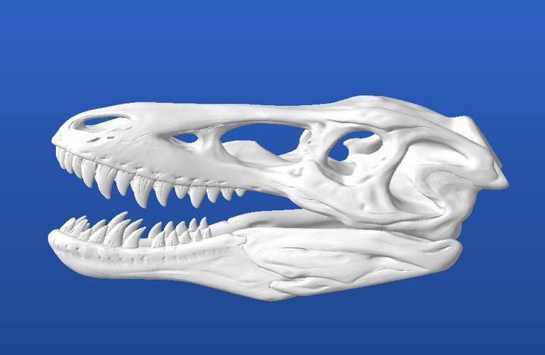 Pinocchio Rex (Qianzhousaurus sinensis) 3D Print 31629