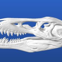 Small Pinocchio Rex (Qianzhousaurus sinensis) 3D Printing 31629