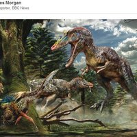 Pinocchio Rex (Qianzhousaurus sinensis) - Thumbnail 2