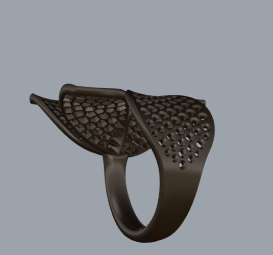 anello giardini segreti 3D Print 321432
