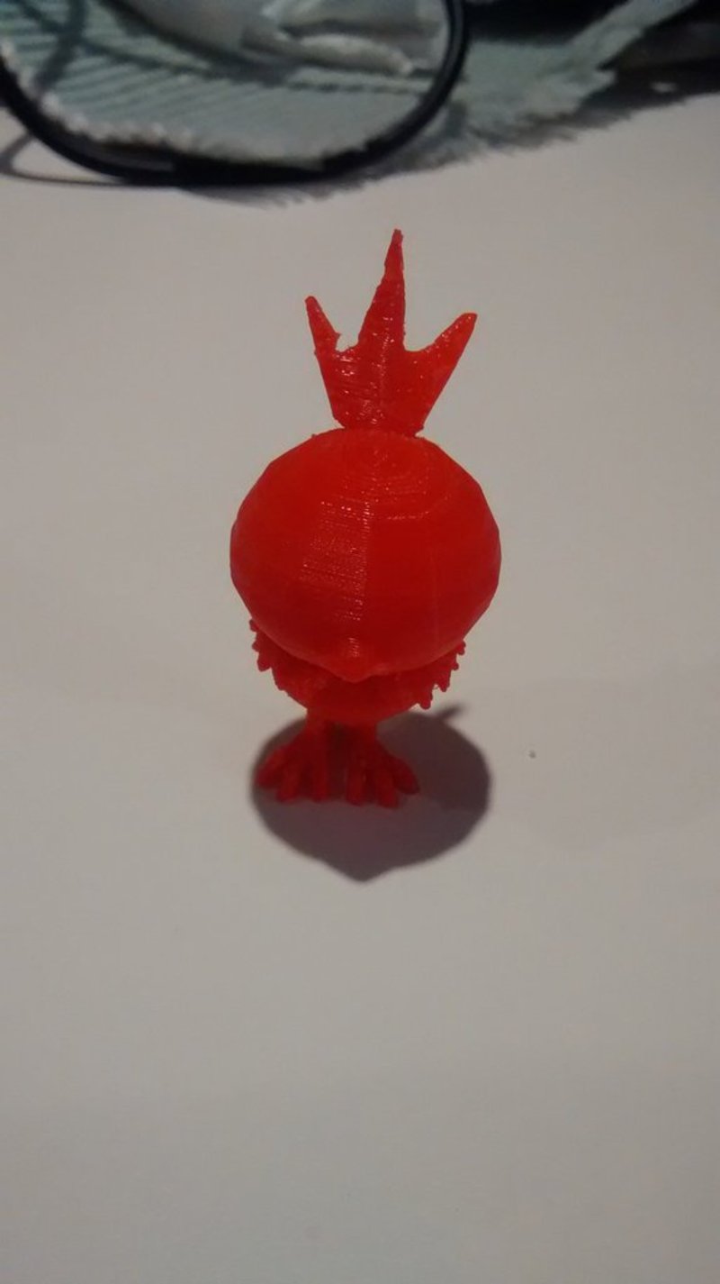 Torchic