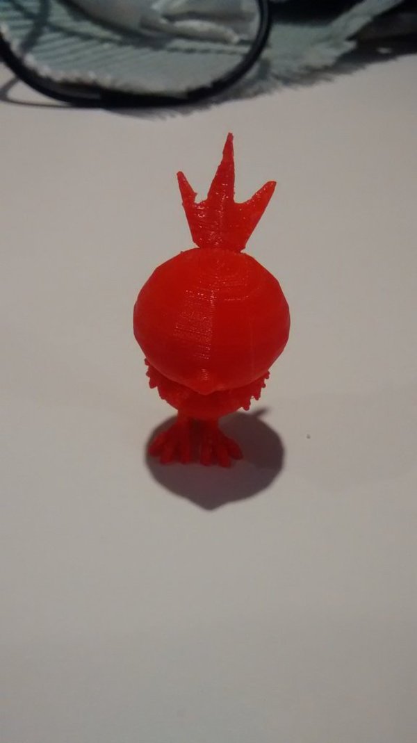 Torchic