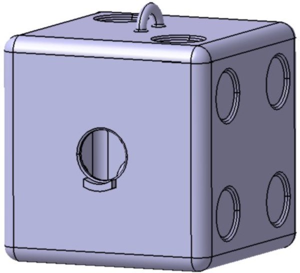 B6 Bird House