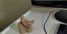 Image 326433