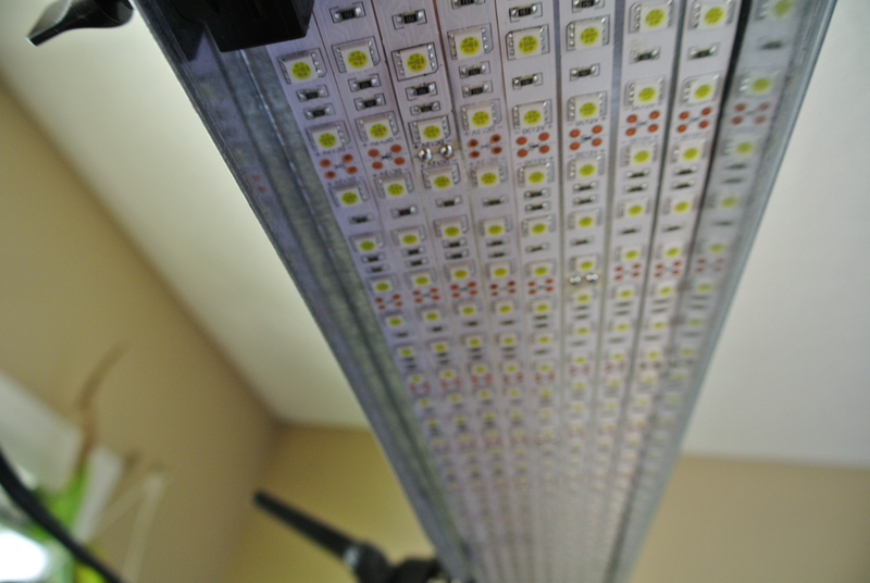 Led Studio Light