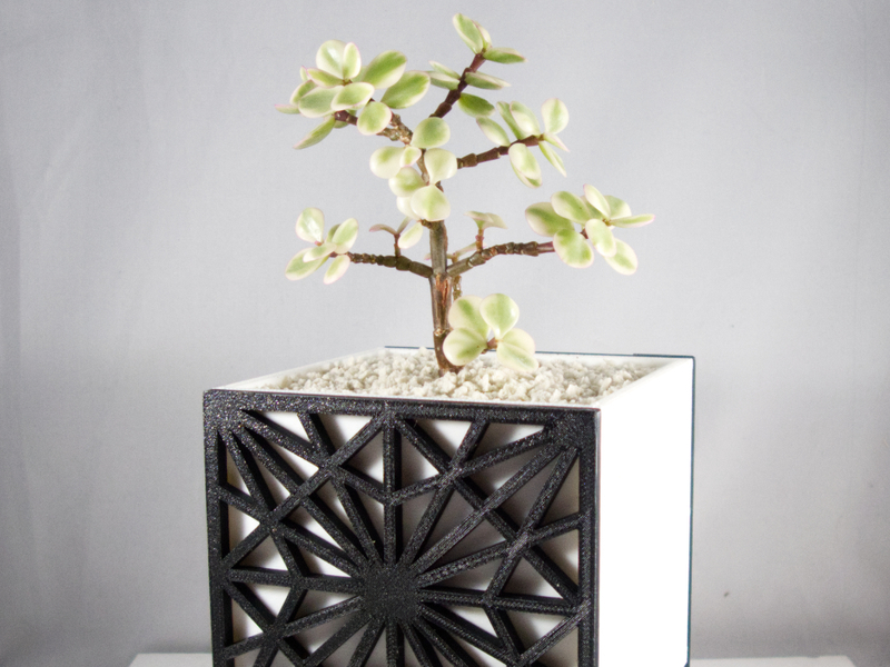 Asanoha Planter