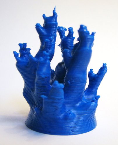 Coral 3D Print 32908