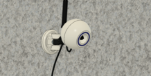 Image 330078