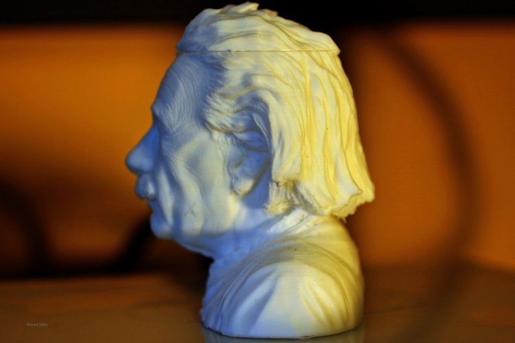 Einstein Bust (14K) 3D Print 33158