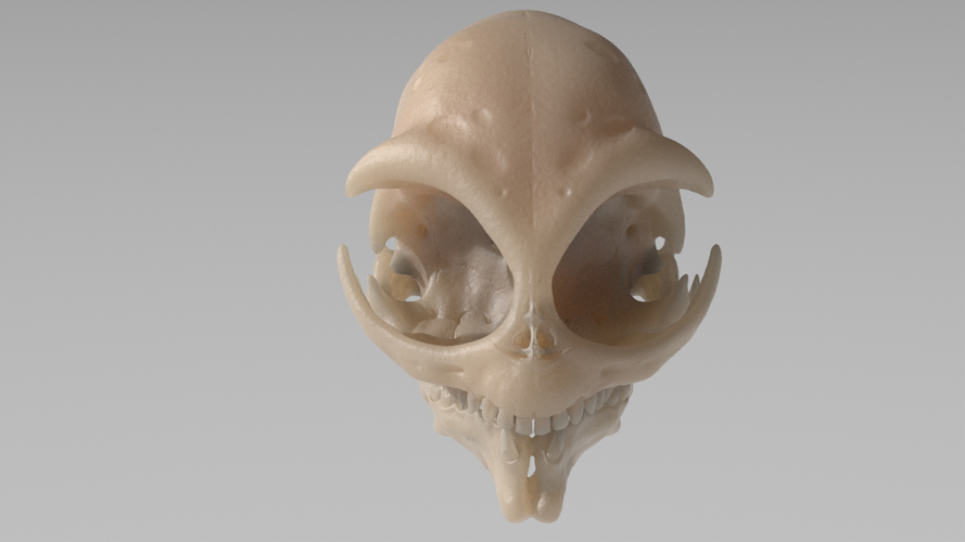 Grey Alien Skull  3D Print 335902