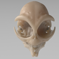 Grey Alien Skull  - Thumbnail 2