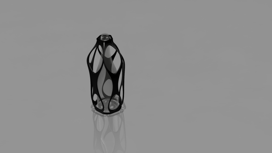 Bottle Vase 3D Print 340021