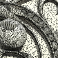 Ornate Fish - Thumbnail 14