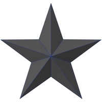 Small faceted star 3D Printing 340346