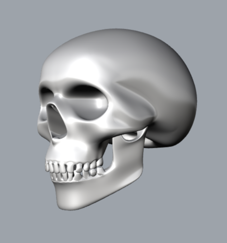 teschio - skull 3D Print 340773