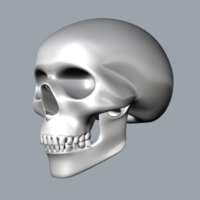 Small teschio - skull 3D Printing 340773