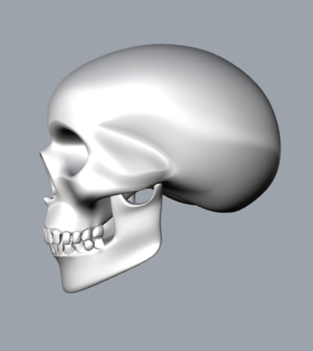 teschio - skull 3D Print 340774