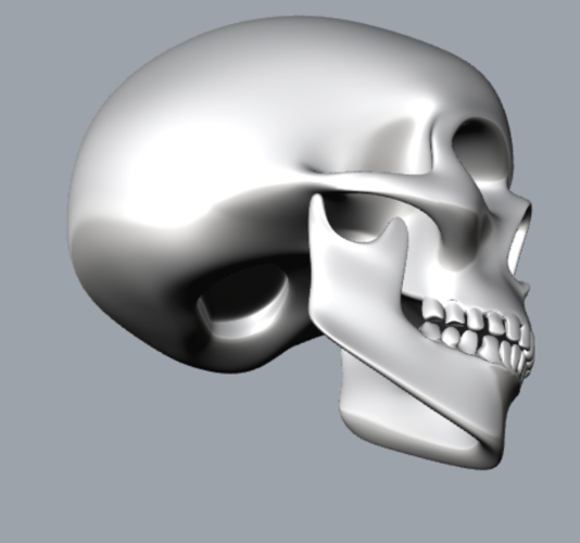 teschio - skull 3D Print 340776