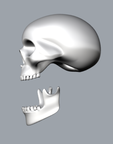 teschio - skull 3D Print 340777