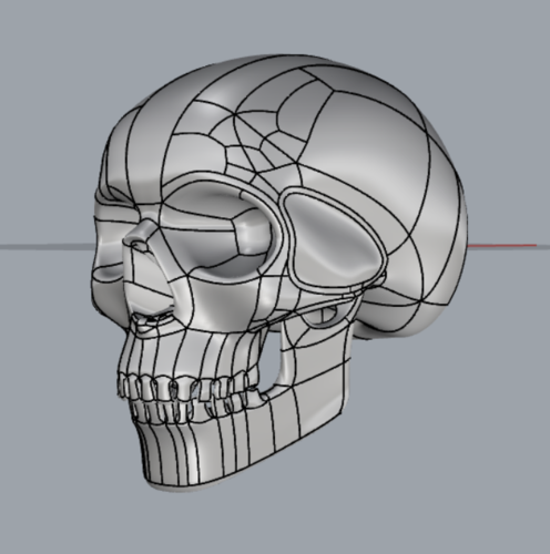 teschio - skull 3D Print 340778