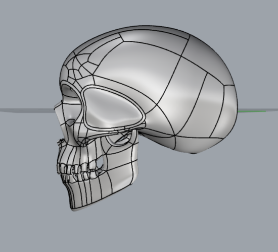 teschio - skull 3D Print 340781