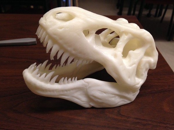 Medium The T-Rex Skull 3D Printing 34091