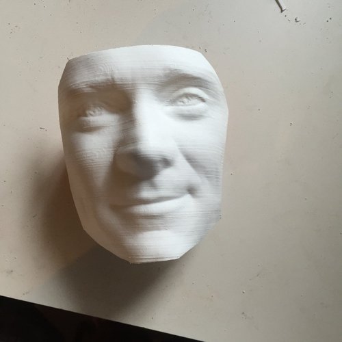 Scan and Print Of me 3D Print 34194