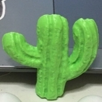cactus  - Thumbnail 1