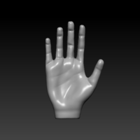 Hand - 3D model - Thumbnail 1