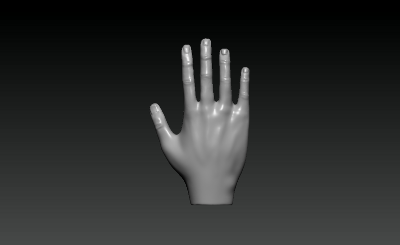 Hand - 3D model