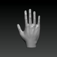 Small Hand - 3D model 3D Printing 348520